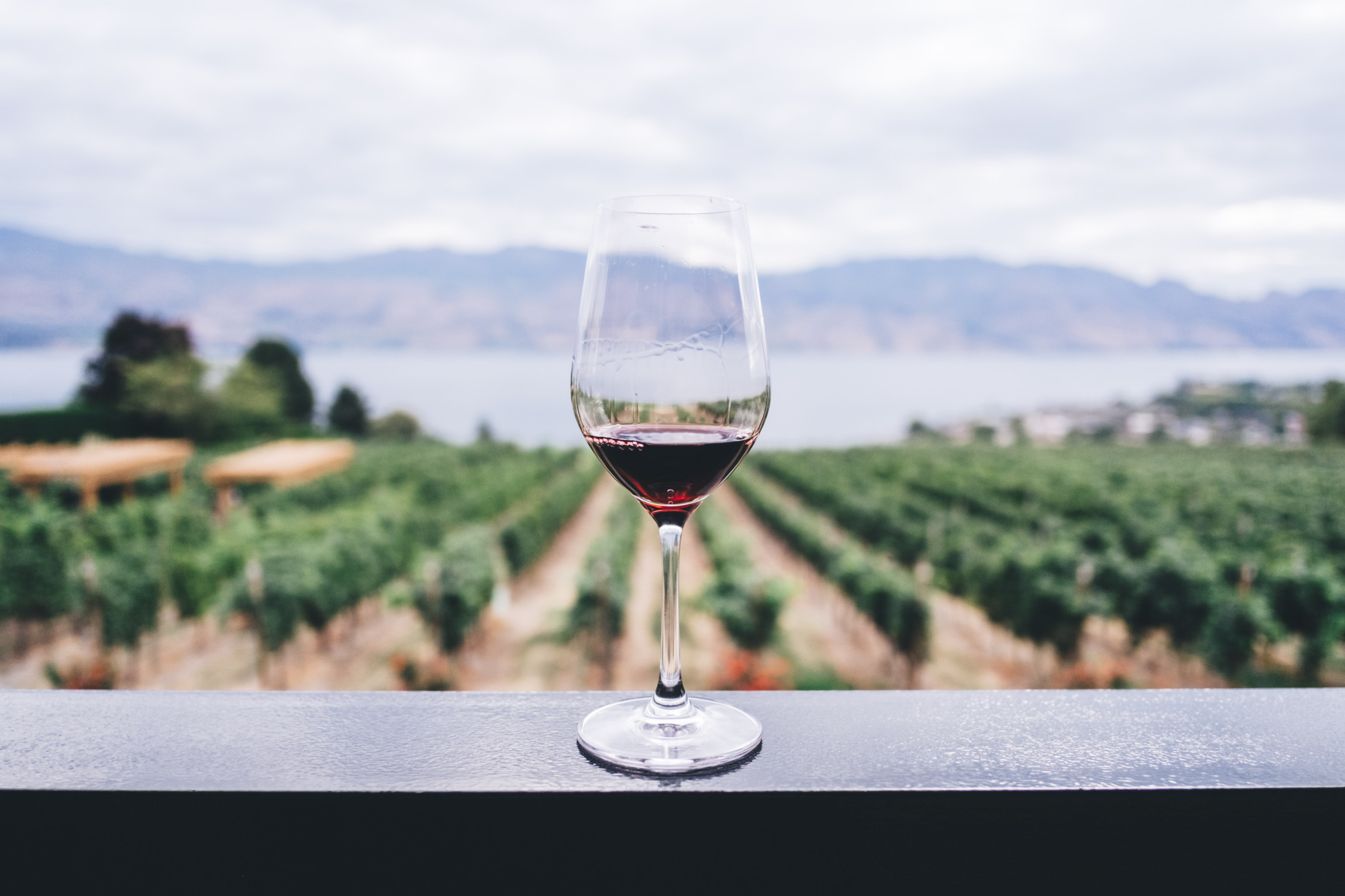 À la rencontre des métiers du vin