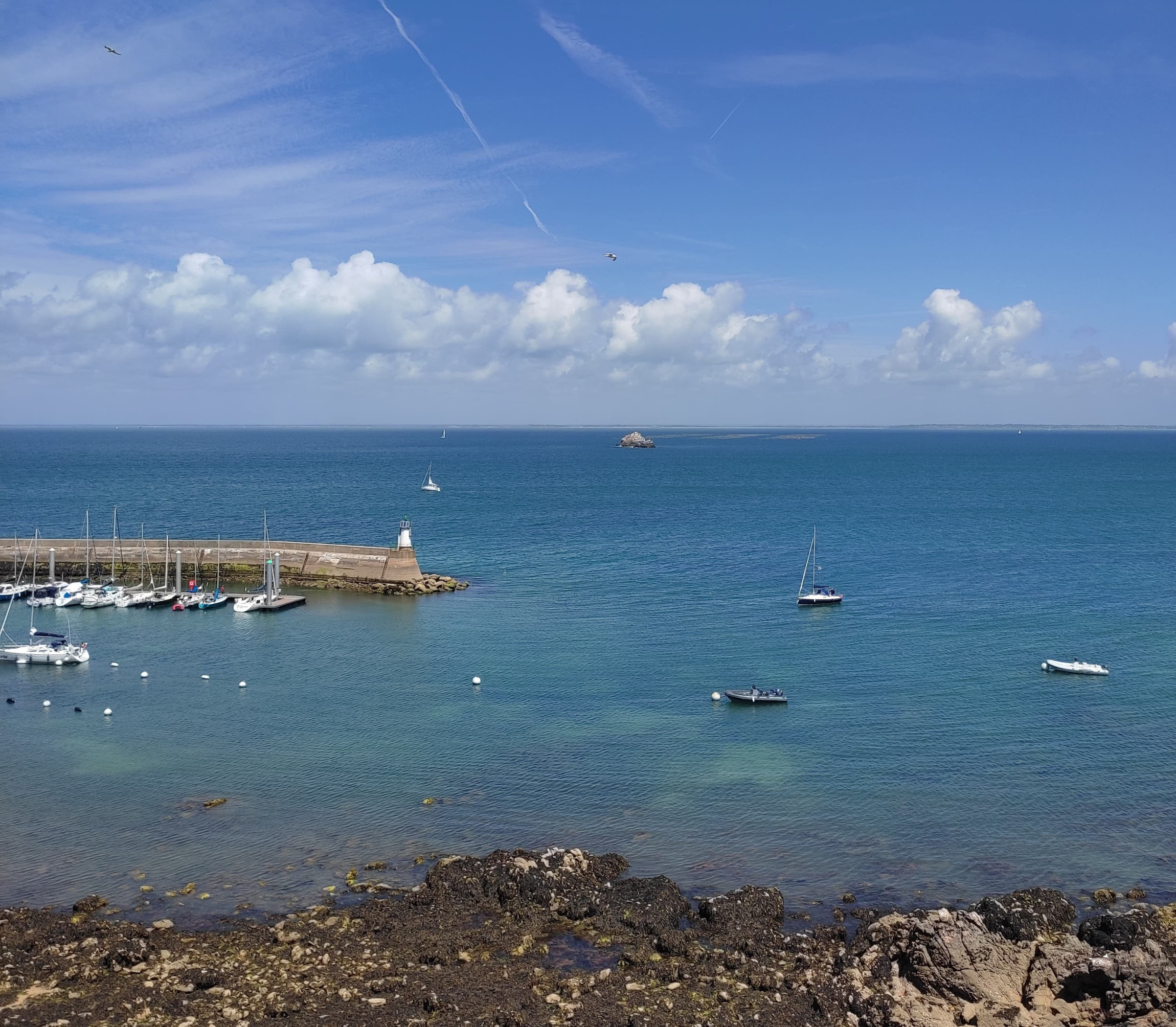 À Houat, un projet de ceinture bleue pour créer une aire marine protégée - L'Europe vue d'ici #127