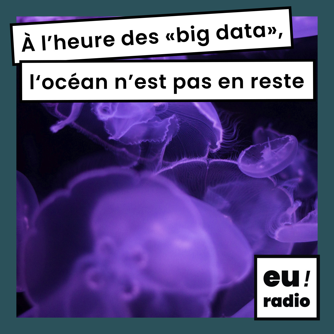 À l'heure des "big data", l'océan n'est pas en reste